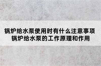 锅炉给水泵使用时有什么注意事项 锅炉给水泵的工作原理和作用